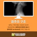 정성부부한의원 이미지