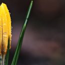 이시형한의원 이미지