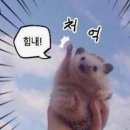 닥터패밀리 | 캐나다 패밀리 닥터 첫 방문 후기｜대기 시간, 준비물, 검사 의뢰서 받는 법