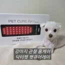 선닥터동물병원 | 닥터펫 펫큐어레이 커버큐 공동구매｜강아지 관절 홈케어 추천