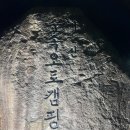 비슬산 숲속 오토캠핑장 | 대구 비슬산 자연휴양림 둘러보기 숲속오토캠핑장 카라반 두루미1호 숙박후기