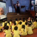 썬키즈어린이집 이미지