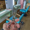 미미살롱 5.5 이미지