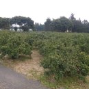 남원읍-9 이미지