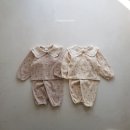 베베룩
