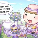 쁘띠프로방스 이미지