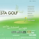 베스타골프 이미지