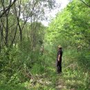 수로부인길 이미지