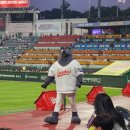 문학경기장 이미지