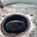 양산 반달곰 카센타 이미지