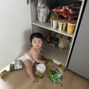 [일상]320-340일 아기/후기이유식/11개월아기/육아일기/베이비본죽/아기오트밀/스토케요요2/능동미나리...
