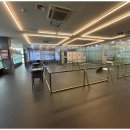 도그의 품격 이미지