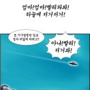 14차원 이미지