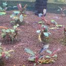 신용 아쿠아 수족관 이미지