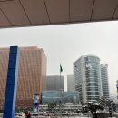 [강원도 여행] 갑진년 해돋이 보러 떠나는 2박 3일 강릉 속초 양양 🌞