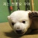 복성반점