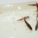 규식농장 이미지