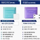제주에너지주식회사 | &#39; 비히디 &#39; 협업 프로젝트 상품 / 브랜드 분석