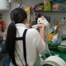 나밍밍 강아지네 이미지