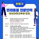 펫시터(반려견) 자격증 과정 이미지