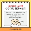 반려동물 수제간식 만들기 이미지