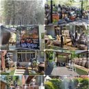 팔공댐 고기나라 이미지