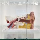 다비치히어링 보청기 해운대점 네이버블로그