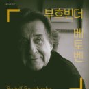 레빗(Levit) 이미지