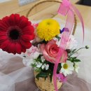 그림책 지도사 자격증 과정 (3급) | (빛고을 50플러스센터)50+ 인생 첫 자격증 성공, 그림책 원예지도사 2급 /마지막 수업 후기