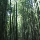 지리산둘레길민박 이미지