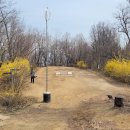 11545-04-06-54 | 장군봉과 청룡산 산행후기