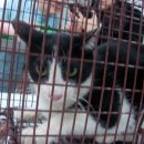 이상윤동물병원 이미지