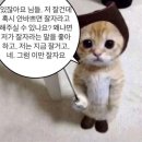 이솝비디오 | 꾸역꾸역 블로그