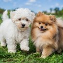 룩 스토어 이미지