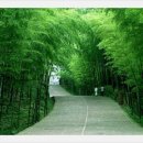 우리.다 이미지