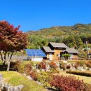 치악산둘레길 3코스 수레너미길 이미지