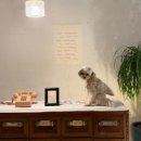 스펀지 게임랜드 이미지