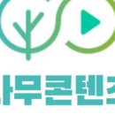 나무콘텐츠랩 이미지