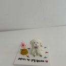 댕브레드 이미지