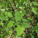 동곡삼거리 | 모악산 (8자종주)