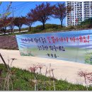 천내천 이미지