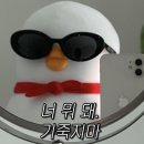 꼬꼬아찌 - 기장군 차성동로 168 | 꼬꼬아찌
