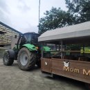 천안시북면위례보건진료소 | 로루의 육아일기, 생일파티와 소풍으로 다녀온 맘맘스 피자만들기 체험