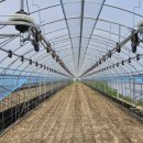 대안팜 주식회사 이미지