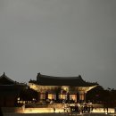 고요한밤 | 창경궁 야간투어 후기 고요한 밤 속의 궁궐 산책