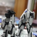 [MG] STRIKE DESTINY GUNDAM 이미지