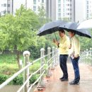 하천(충훈2교) 이미지