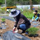 새일농장 이미지