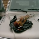 용곡2리 이미지