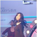 너구리 유격대 Daum카페